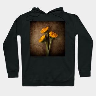 Sunflower Composite Hoodie